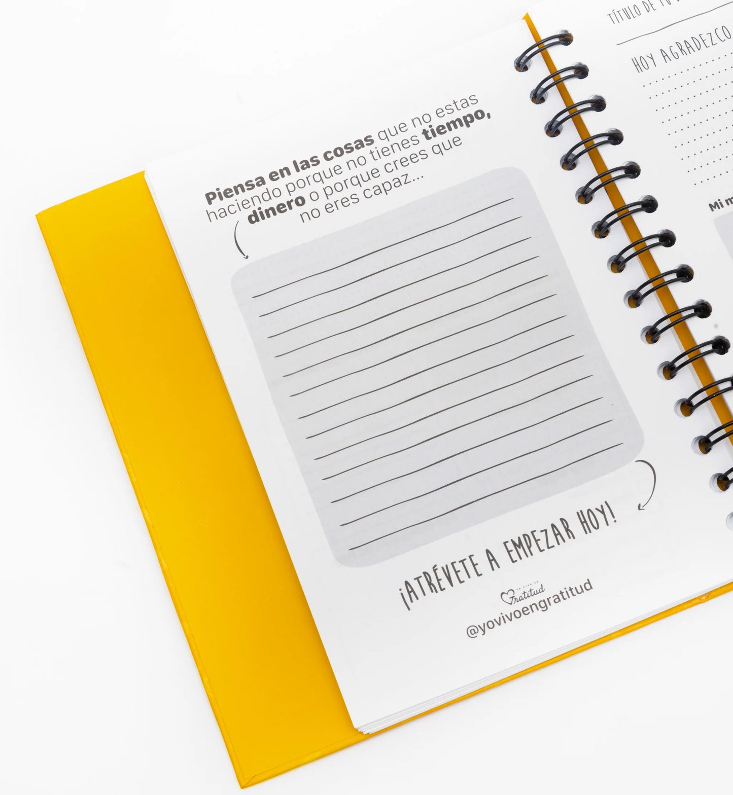 Diario De Gratitud