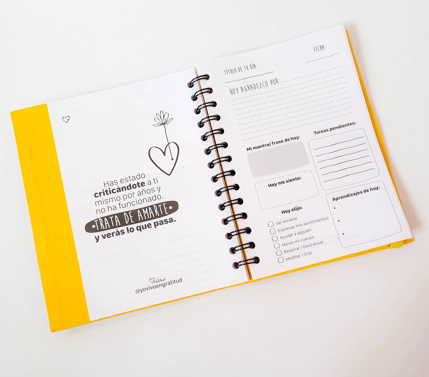 Diario De Gratitud
